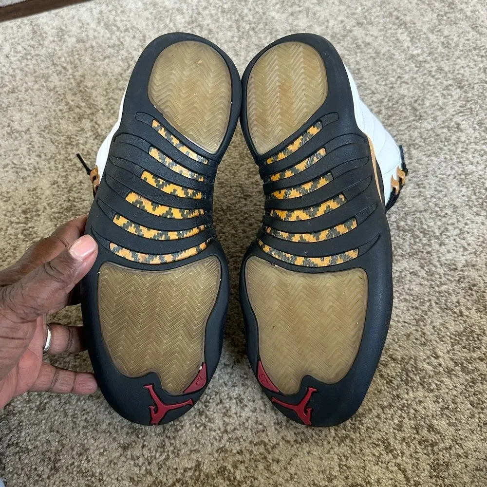 Jordan Air Jordan 12 Retro 